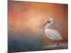 Pelican Walk-Jai Johnson-Mounted Giclee Print