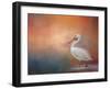 Pelican Walk-Jai Johnson-Framed Giclee Print