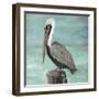 Pelican Way I-Julie DeRice-Framed Art Print