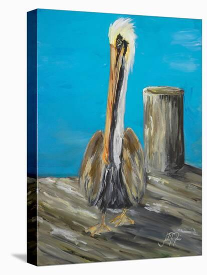 Pelican Way I-Julie DeRice-Stretched Canvas