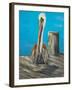 Pelican Way I-Julie DeRice-Framed Art Print