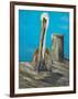 Pelican Way I-Julie DeRice-Framed Art Print