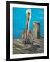 Pelican Way I-Julie DeRice-Framed Art Print