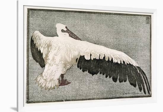 Pelican with Outspread Wings-Walther Klemm-Framed Photographic Print