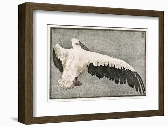 Pelican with Outspread Wings-Walther Klemm-Framed Photographic Print