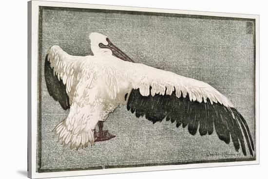 Pelican with Outspread Wings-Walther Klemm-Stretched Canvas