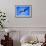 Pelican-null-Framed Photographic Print displayed on a wall