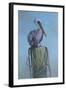 Pelican-Michael Jackson-Framed Giclee Print