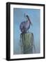 Pelican-Michael Jackson-Framed Giclee Print