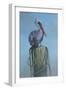 Pelican-Michael Jackson-Framed Giclee Print