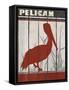 Pelican-Karen Williams-Framed Stretched Canvas