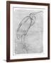 Pelican-Antonio Pisani Pisanello-Framed Giclee Print