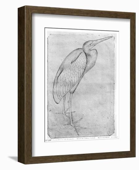 Pelican-Antonio Pisani Pisanello-Framed Giclee Print