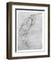 Pelican-Antonio Pisani Pisanello-Framed Giclee Print