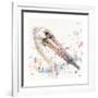 Pelicans About-Sillier than Sally-Framed Giclee Print