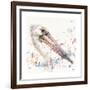 Pelicans About-Sillier than Sally-Framed Giclee Print