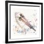 Pelicans About-Sillier than Sally-Framed Giclee Print