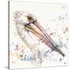 Pelicans About-Sillier than Sally-Stretched Canvas