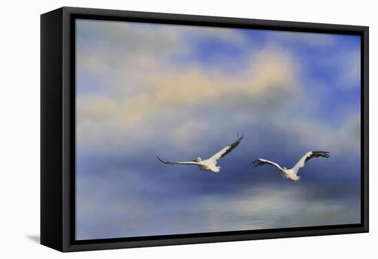 Pelicans at Sea-Jai Johnson-Framed Stretched Canvas