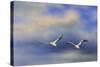 Pelicans at Sea-Jai Johnson-Stretched Canvas