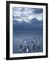 Pelicans, Caye Caulker, Belize-Russell Young-Framed Photographic Print