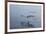 Pelicans Flying Above the Ocean Near Walvis Bay, Namibia-Alex Saberi-Framed Photographic Print