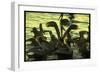 Pelicans in the Sunset at Key Biscayne, Florida-George Silk-Framed Photographic Print