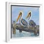 Pelicans on Deck-Julie DeRice-Framed Art Print