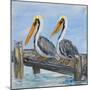 Pelicans on Deck-Julie DeRice-Mounted Art Print