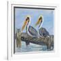 Pelicans on Deck-Julie DeRice-Framed Art Print