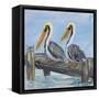 Pelicans on Deck-Julie DeRice-Framed Stretched Canvas