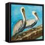 Pelicans on Post II-Julie DeRice-Framed Stretched Canvas