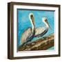 Pelicans on Post II-Julie DeRice-Framed Art Print