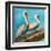 Pelicans on Post II-Julie DeRice-Framed Art Print