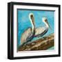 Pelicans on Post II-Julie DeRice-Framed Art Print