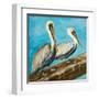 Pelicans on Post II-Julie DeRice-Framed Art Print