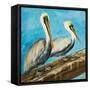 Pelicans on Post II-Julie DeRice-Framed Stretched Canvas