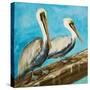 Pelicans on Post II-Julie DeRice-Stretched Canvas