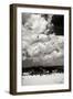 Pelicans over Dunes VI BW-Alan Hausenflock-Framed Photographic Print