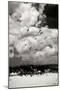 Pelicans over Dunes VI BW-Alan Hausenflock-Mounted Photographic Print