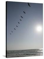 Pelicans Pass over Boca Chica, Texas-Eric Gay-Stretched Canvas