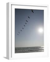 Pelicans Pass over Boca Chica, Texas-Eric Gay-Framed Photographic Print