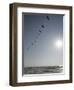 Pelicans Pass over Boca Chica, Texas-Eric Gay-Framed Photographic Print