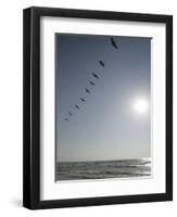 Pelicans Pass over Boca Chica, Texas-Eric Gay-Framed Photographic Print