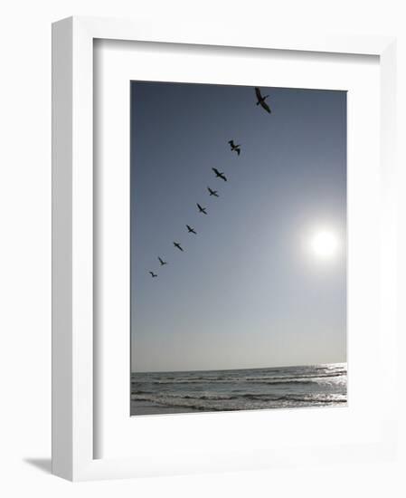 Pelicans Pass over Boca Chica, Texas-Eric Gay-Framed Photographic Print