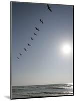 Pelicans Pass over Boca Chica, Texas-Eric Gay-Mounted Photographic Print