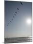 Pelicans Pass over Boca Chica, Texas-Eric Gay-Mounted Photographic Print