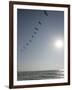 Pelicans Pass over Boca Chica, Texas-Eric Gay-Framed Photographic Print