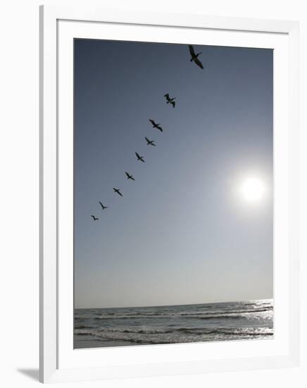 Pelicans Pass over Boca Chica, Texas-Eric Gay-Framed Photographic Print