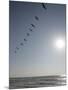 Pelicans Pass over Boca Chica, Texas-Eric Gay-Mounted Photographic Print